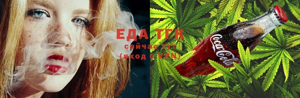 спиды Богородицк