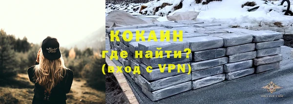 спиды Богородицк