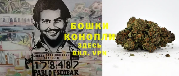 соль курить ск Белокуриха